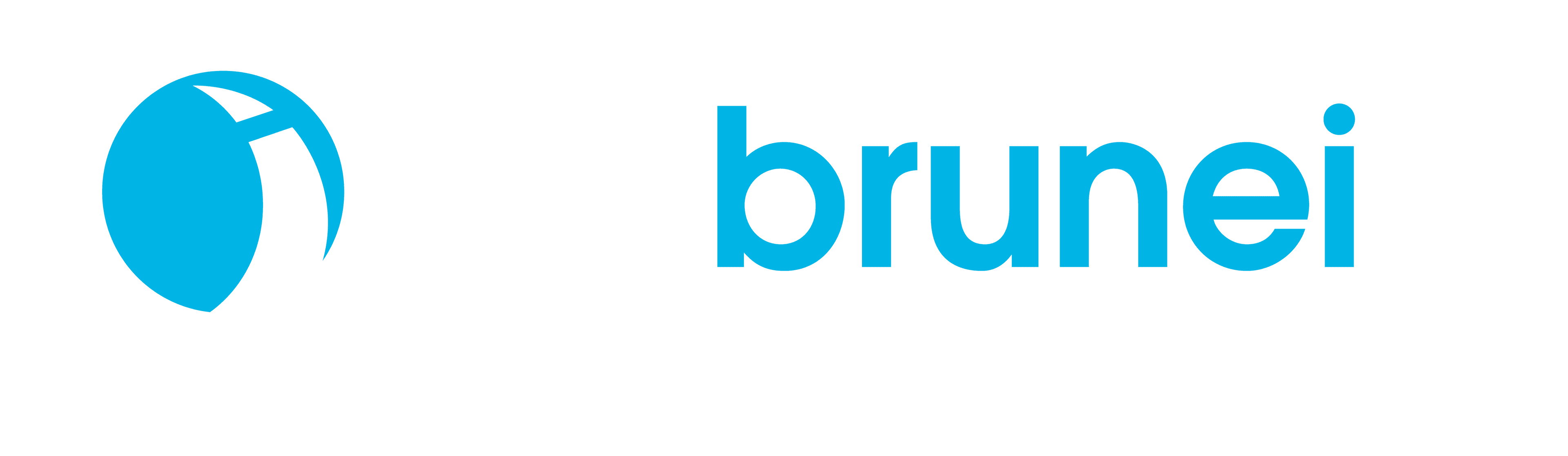 NBT Brunei logo